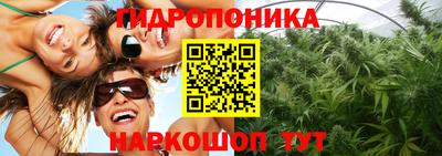 винт Кандалакша